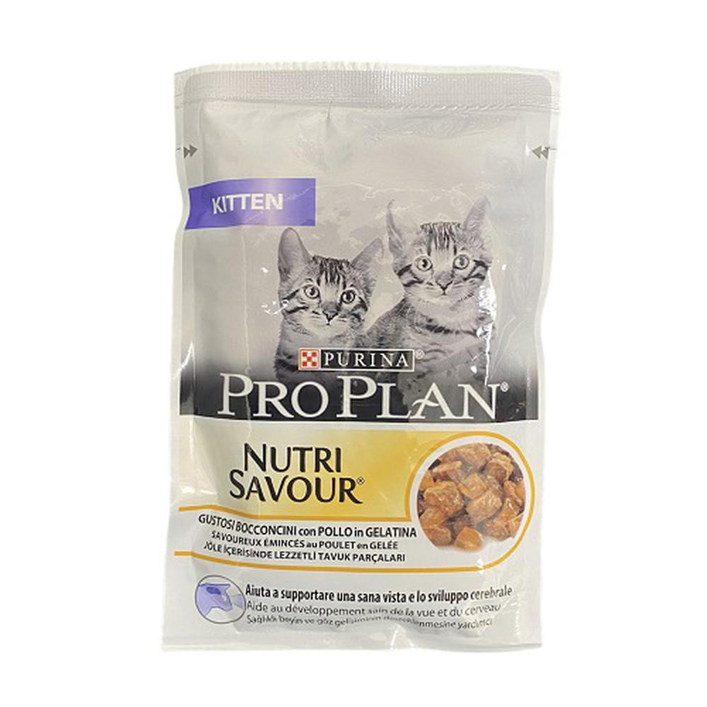 ProPlan Yavru Kedi Yaş Mama