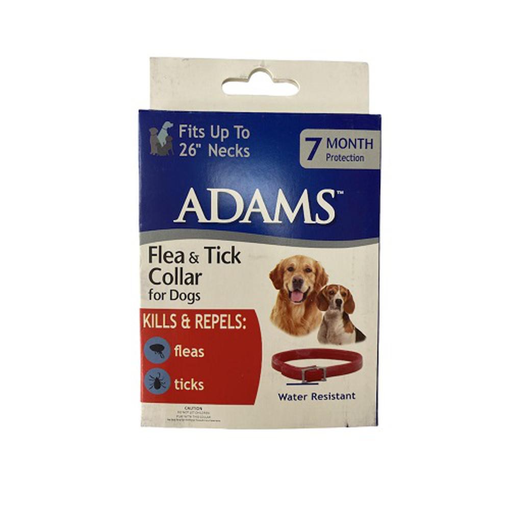 Köpek Kene Pire Tasması